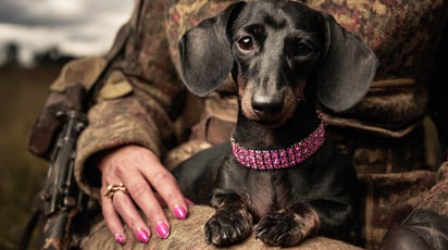 Lovely digital headline