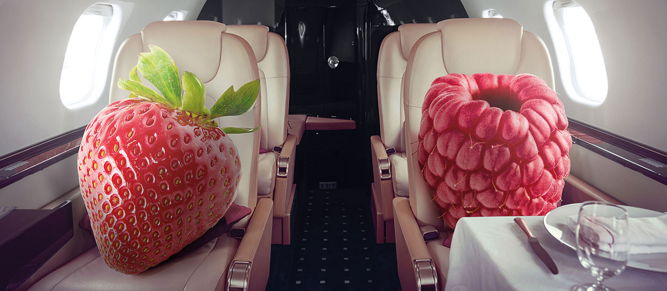 PAN_KV_FruitLog-18_Berries-Plane_map_4c_2